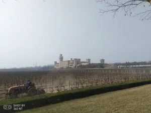 陝西 張裕瑞那酒堡(Chateau, Changyu Rena)