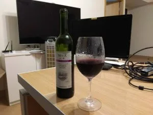 香港 2017住處小酌