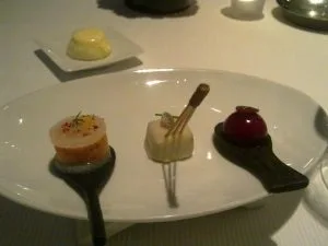 台北 STAY-Simple Table Alleno Yannick 法式料理 (米其林三星主廚) (永久歇業)