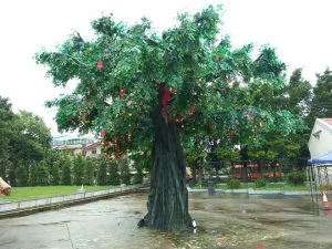 Morgan香港生活記事16 - 大埔墟 鐵路博物館、林村許願樹  & 粉嶺 龍躍頭文物徑