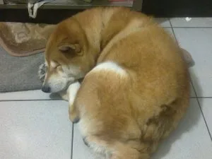 某年冬天隨筆 於 台北西門町