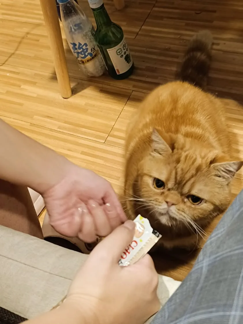 台北 安和路 春未來 Sake Bar