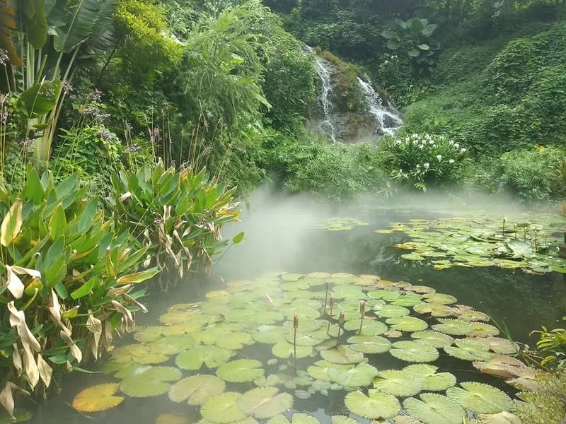 深圳 南山 青青世界