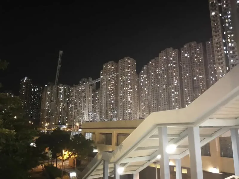 香港 九龍灣 名人談素食