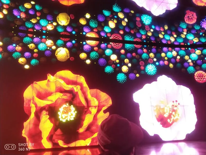 台中 后里 世界花卉博覽會