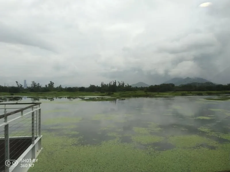 香港 濕地公園