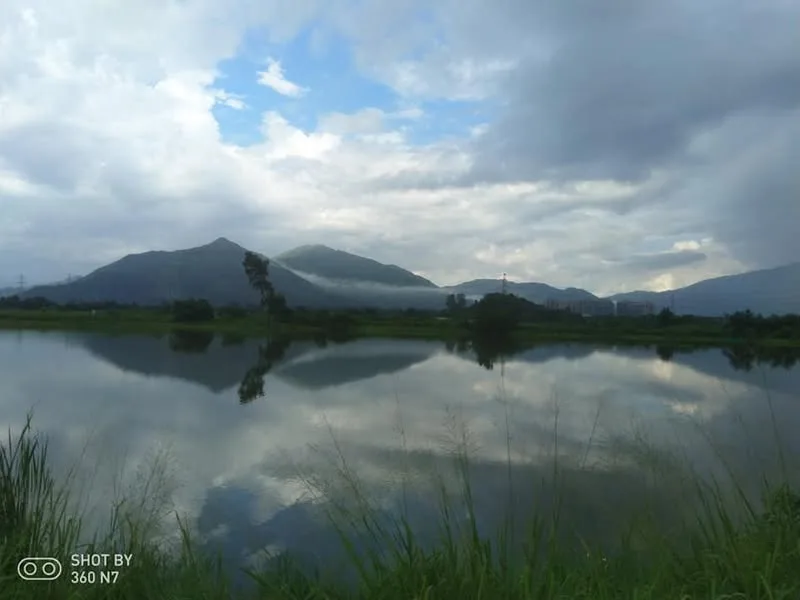 香港 元朗 南生圍 濕地