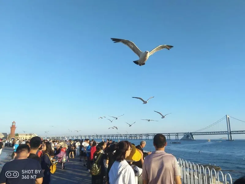 遼寧 大連、旅順 印象