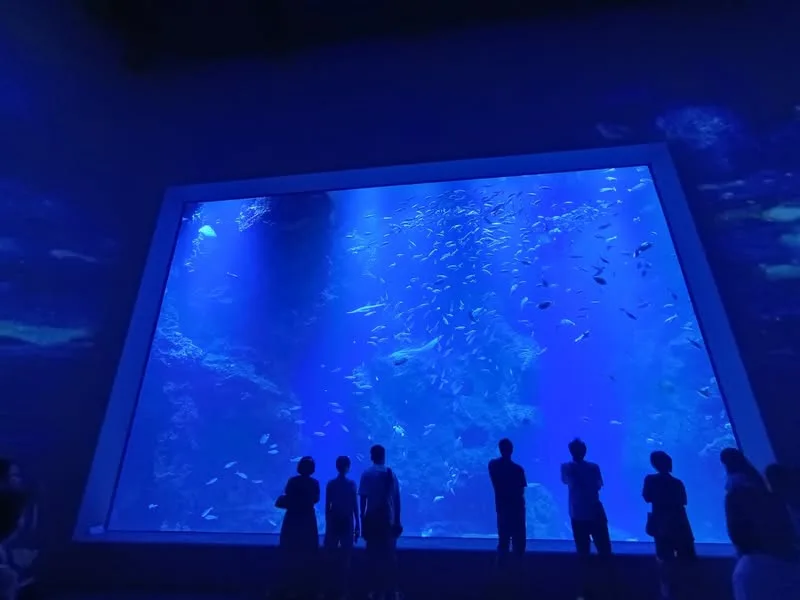 台中 清水 台中海洋館、天津路 小山西館