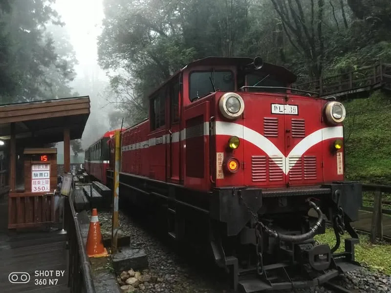 嘉義 新中橫公路 水里、塔塔加、阿里山、嘉義夜市