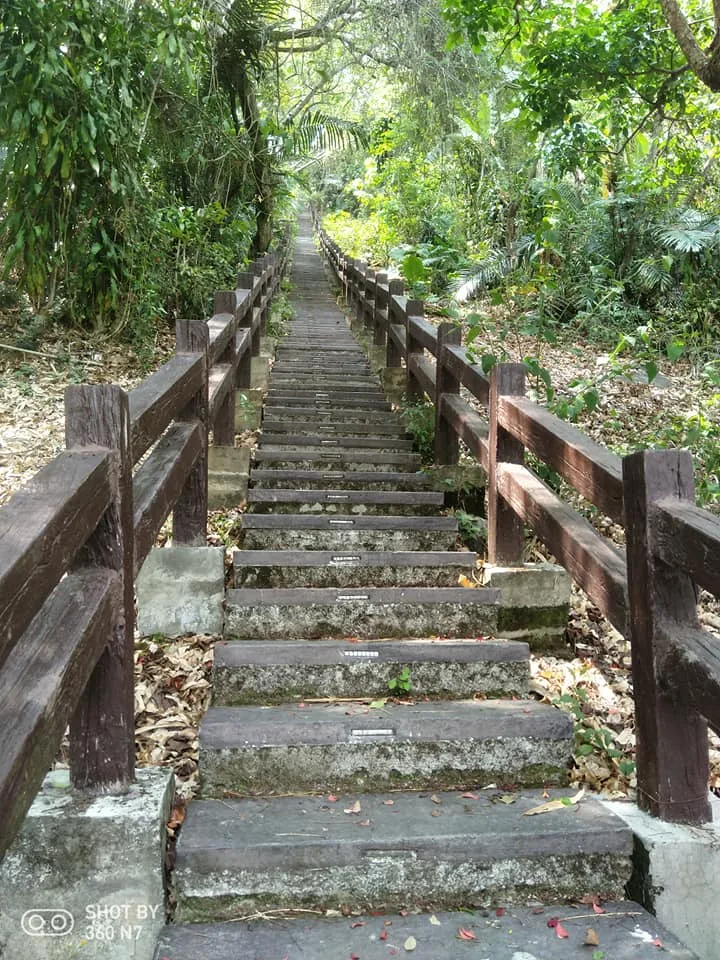 雲林 草嶺一日遊