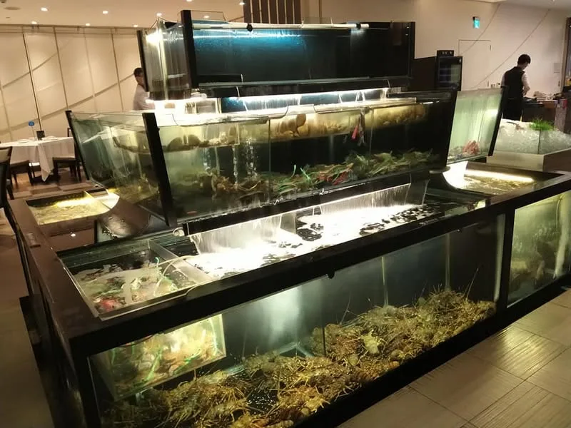 台中 永豐棧 阿利海產 & 金典12F 牛排館酒吧