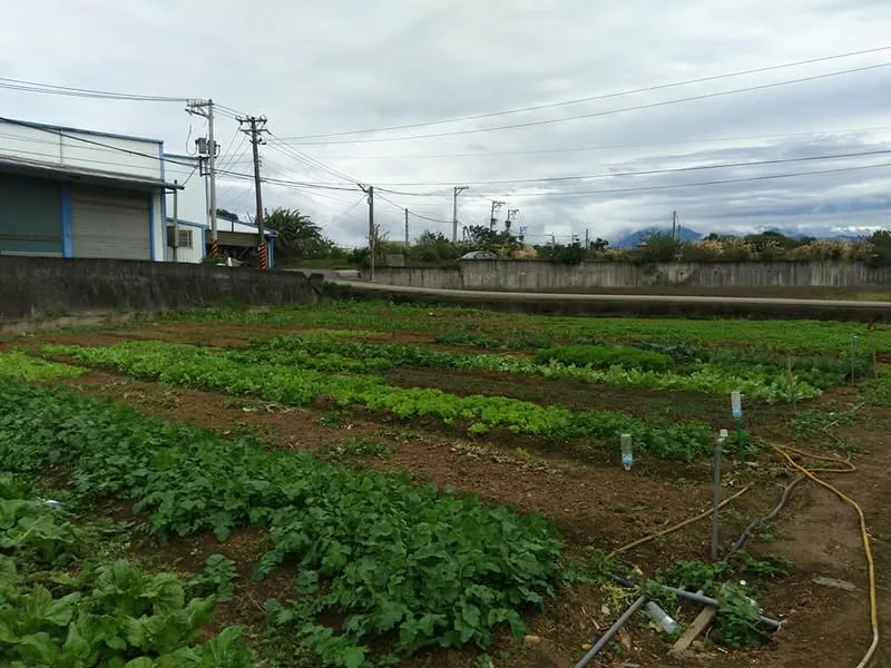 桃園 大江購物中心 燒丼 株式會社