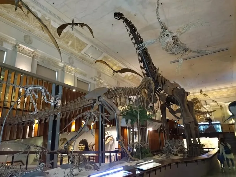 台北 敦化北路巷內 十二藍 螃蟹海鮮粥