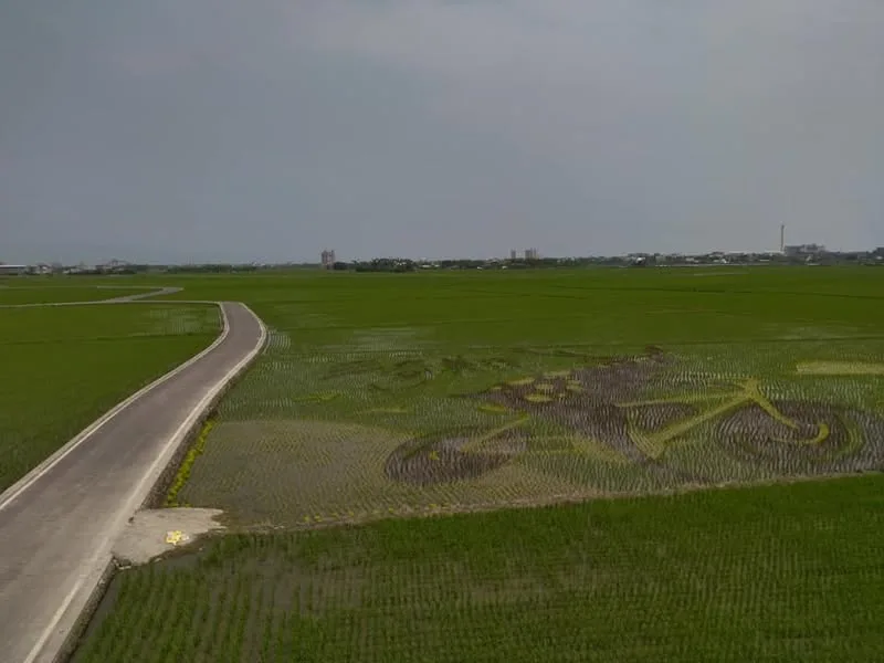 宜蘭 冬山 伯朗大道、東澳 粉鳥林祕境、礁溪 自然風溫泉會館