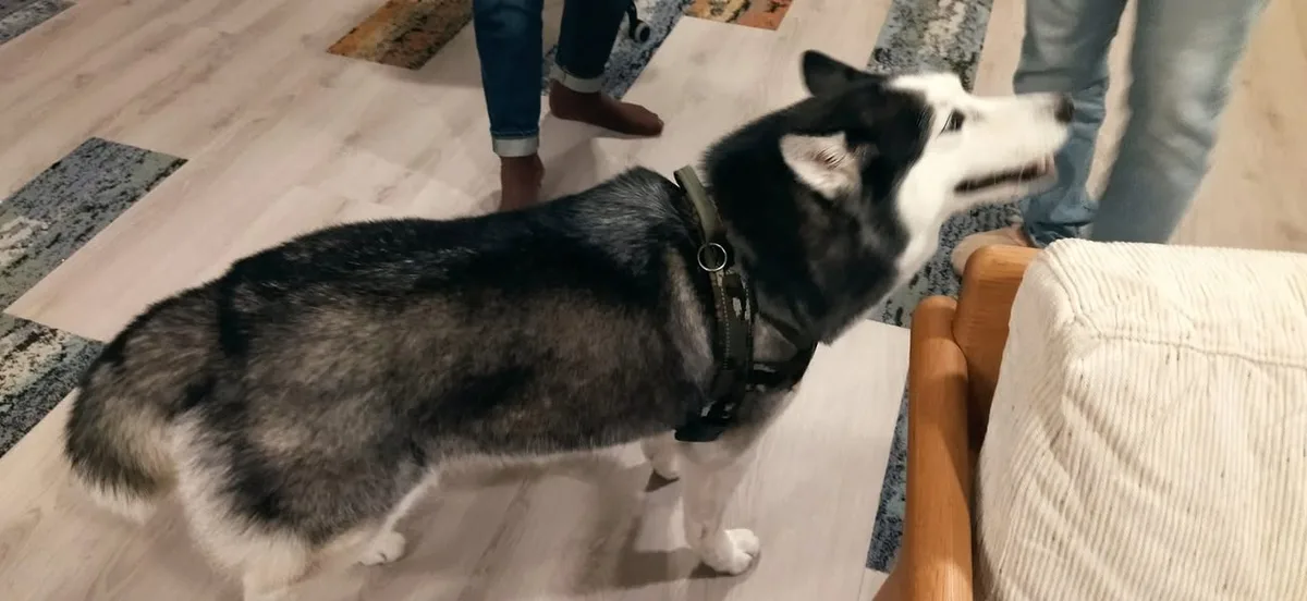 台北 台虎啜飲室、Tickle my fantasy酒吧、文昌街53號酒吧、微風南山 Ce La Vi