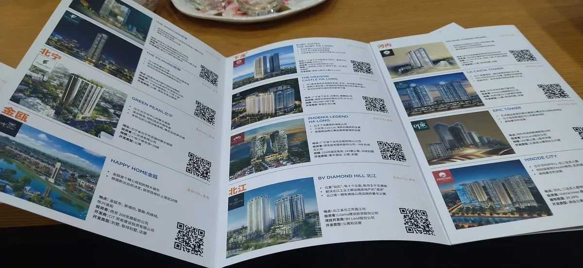 越南 達桑地產 (Dat Xanh) 簡報