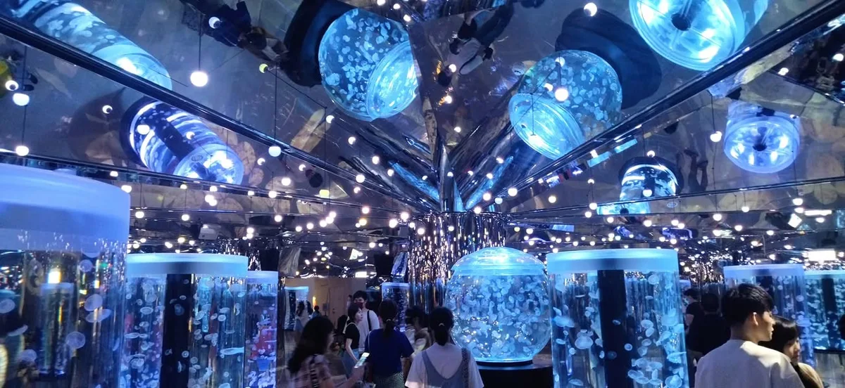 新北 林口 盧卡 義大利料理、桃園青埔 Xpark 水族館