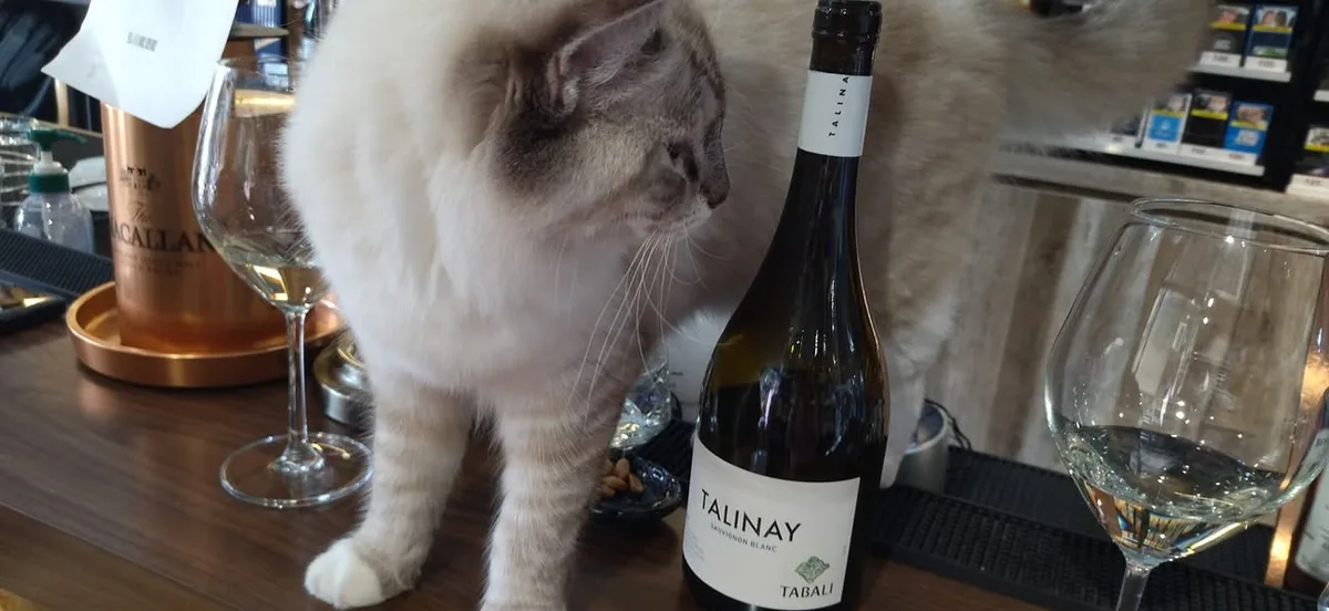 台中 黎明路 弘川藏酒閣