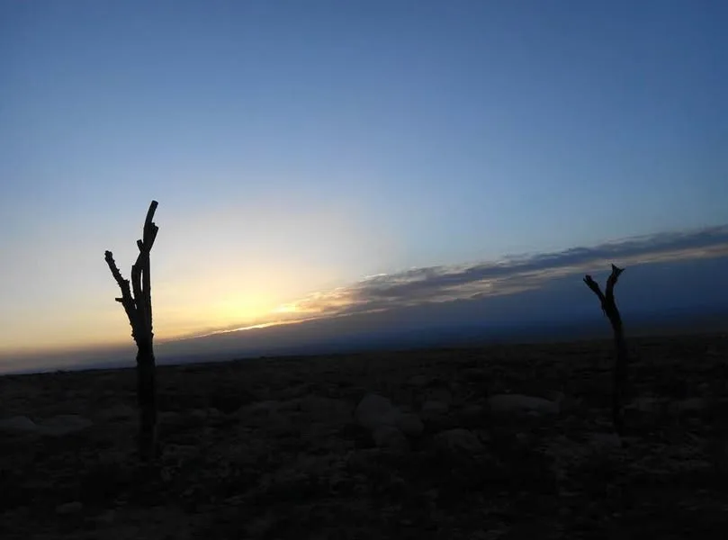寧夏 回族自治區 賀蘭山畫岩、西夏王陵、水洞溝遺址