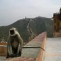 印度 India 十日文字遊記 3