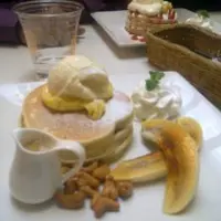 台北 柏林頓花園 (Paddington Garden)