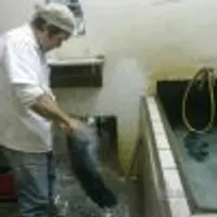 桃園 石門 金蘭活魚