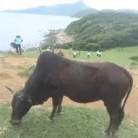 Morgan香港生活記事6 - 塔門島