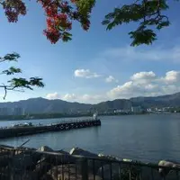 Morgan香港生活記事14 - 海濱長廊步行到大埔