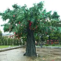 Morgan香港生活記事16 - 大埔墟 鐵路博物館、林村許願樹  & 粉嶺 龍躍頭文物徑