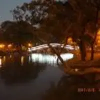 台中 - 台中公園 夜景