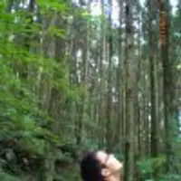 桃園 東眼山步道