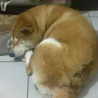 某年冬天隨筆 於 台北西門町