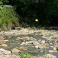 高雄 美濃 黃蝶翠谷