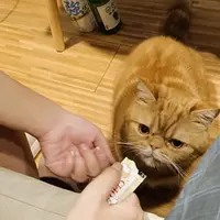 台北 安和路 春未來 Sake Bar 1