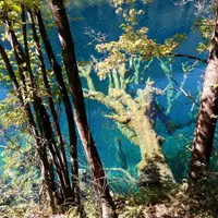 湖南、湖北 速記 3