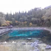 湖南、湖北 速記 5