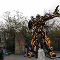 重慶 武隆 天坑三橋、龍水峽地縫、印象武隆