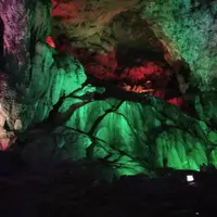 彰化 99元快炒 4