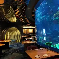 杜拜 帆船七星酒店 Al Mahara 海底餐廳