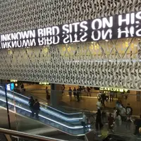 卡達 多哈國際機場 (Qatar)