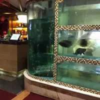 深圳 金稻園 潮汕沙鍋粥