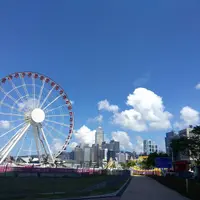 香港 南丫島 & 海洋公園 夜間表演-雙龍奇緣