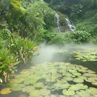 深圳 南山 青青世界