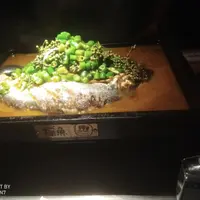 深圳 龍華 探魚 餐廳