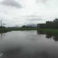 香港 濕地公園 2