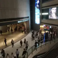 香港 半山 訪友品酒