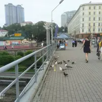 俄羅斯 海參崴 托卡內夫斯基 燈塔 (Tokarevskiy Lighthouse) 5