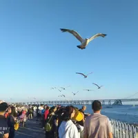 遼寧 大連、旅順 印象