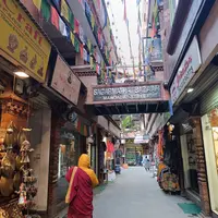 尼泊爾 水牛饃饃 1